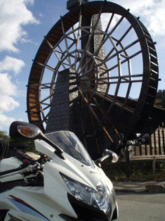 20091011_06.jpg