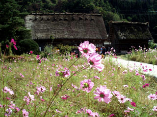 20091011_04.jpg