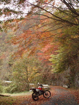 20091023_04.jpg