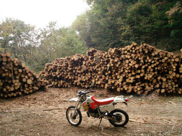 20091023_05.jpg