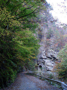 20091023_19.jpg