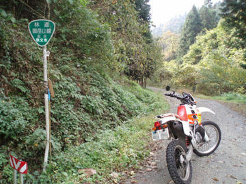 888f43d0.jpg