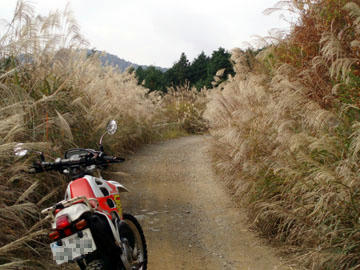 20091023_22.jpg