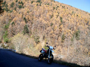 20091031_02.jpg