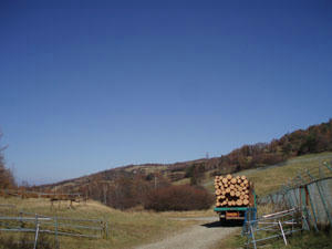 20091031_05.jpg