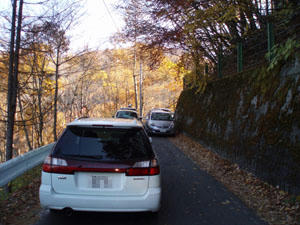 20091031_10.jpg