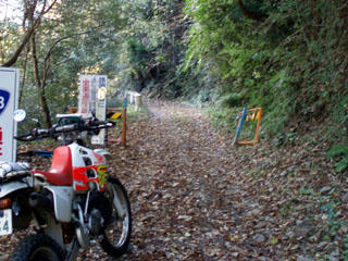 20091103_10.jpg