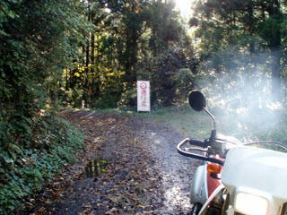 20091103_11.jpg