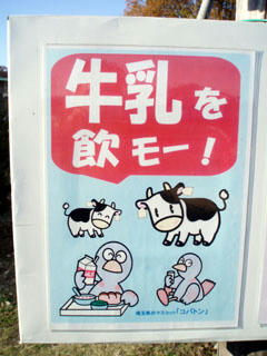 20091123_04.jpg