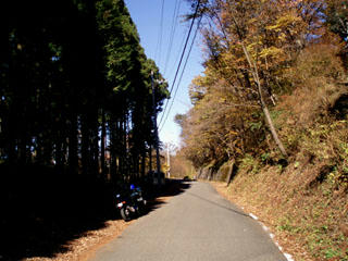 20091123_05.jpg
