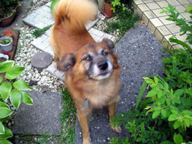 20091220.jpg