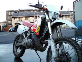 20100117_04.jpg