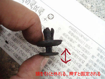 20100529_10.jpg
