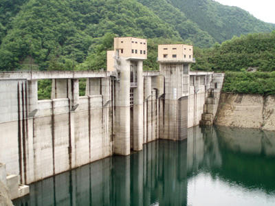 20100621_04.jpg
