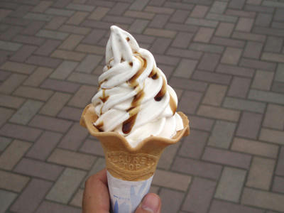 20100621_10.jpg