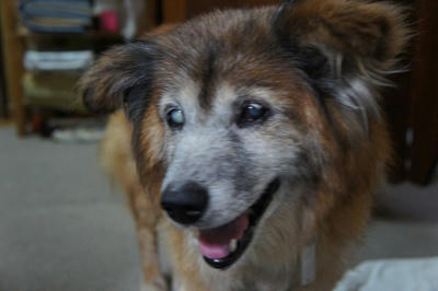 20100704_00.jpg