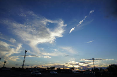 20100704_03.jpg