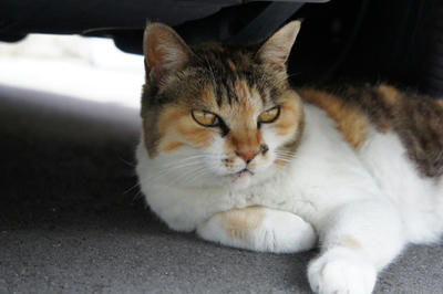20100710_00.jpg