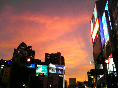 20100720.jpg