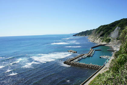 20101011_001.jpg