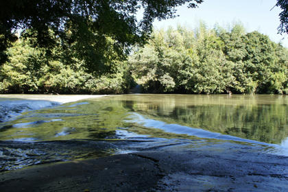20101011_000.jpg
