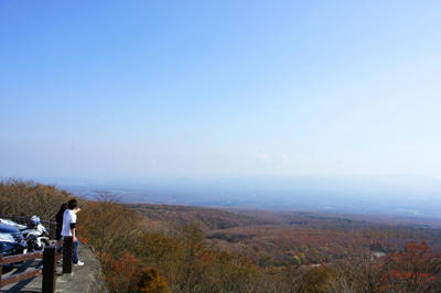 20101106_002.jpg