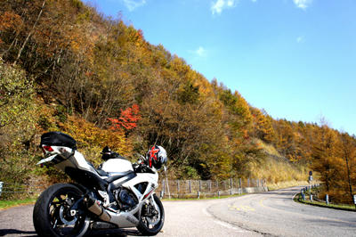20101106_003.jpg