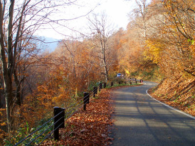 20101106_005.jpg