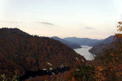 20101106_007.jpg