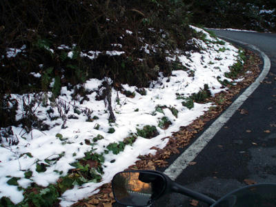 20101106_012.jpg