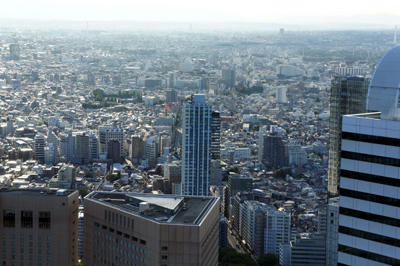 20101123_03.jpg