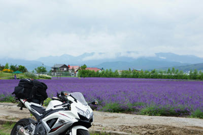 20101129_00.jpg
