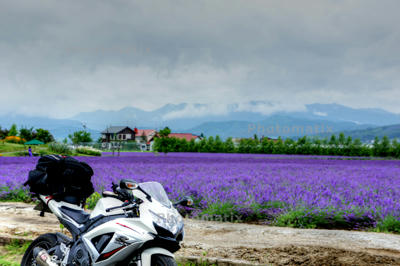 20101129_03.jpg
