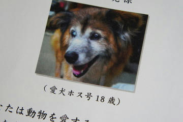 DSC04375-2.JPG