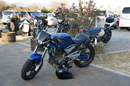 20100109_09.jpg