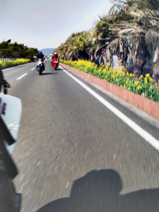 20100205_02.jpg