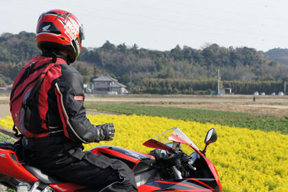 20100205_06.jpg