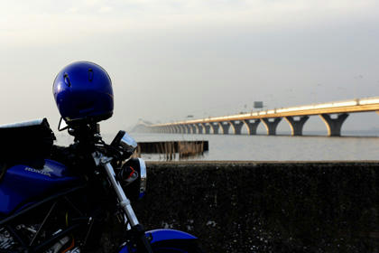 20100205_07.jpg