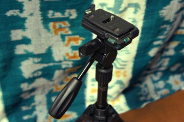 20110208_02.jpg