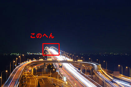 20100205_09m.jpg