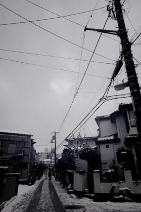 20110215_00d.jpg