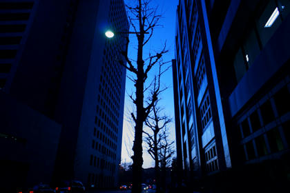 20110223_01.jpg
