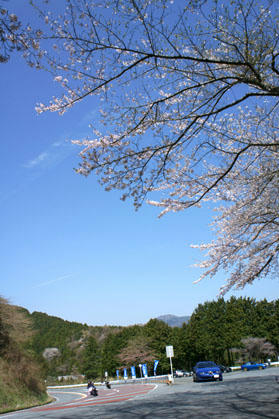 20110417_01.jpg