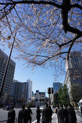 20110419_01.jpg