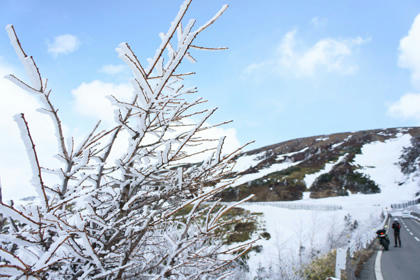 20110429_03.jpg