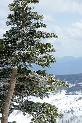 20110429_07.jpg