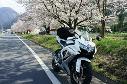 20110429_09.jpg