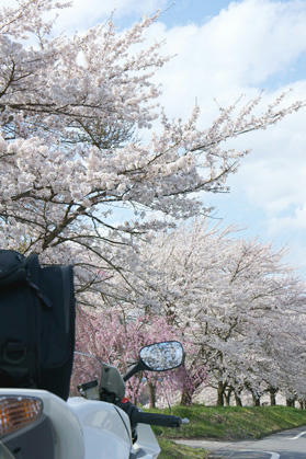 20110502_10.jpg