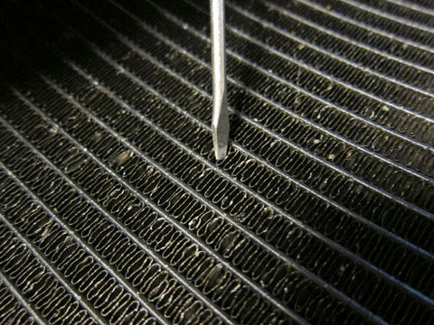 20110625_02.jpg