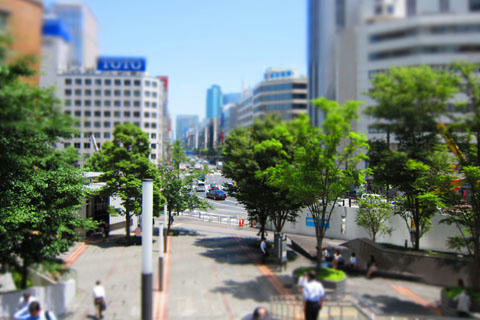 20110628_01.jpg